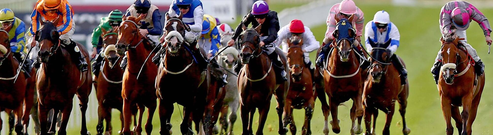 Le Curragh Horse - ©INPHO/Donall Farmer 