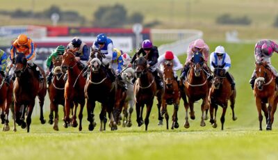 Le Curragh Horse - ©INPHO/Donall Farmer