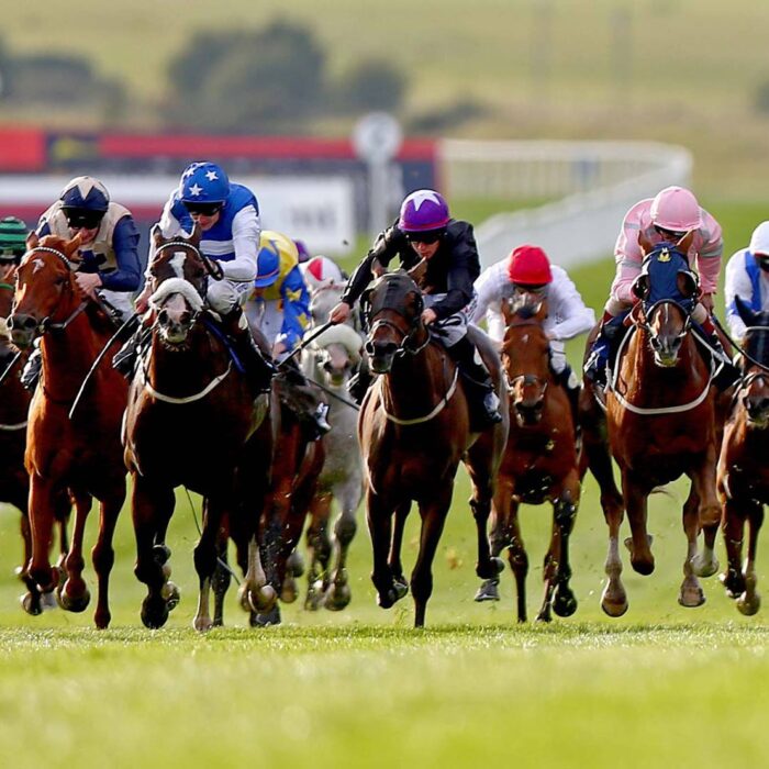 Le Curragh Horse - ©INPHO/Donall Farmer