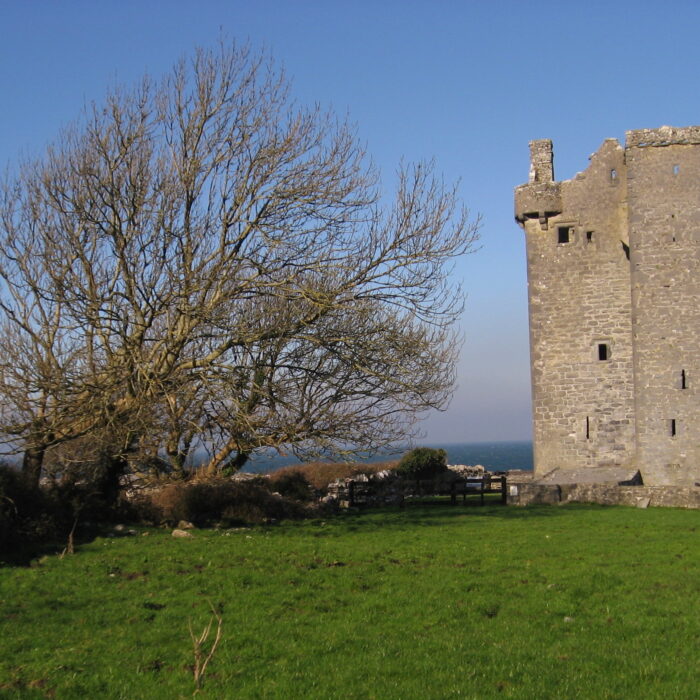 Le Gleninagh Castle - Johnida Dockens - cc