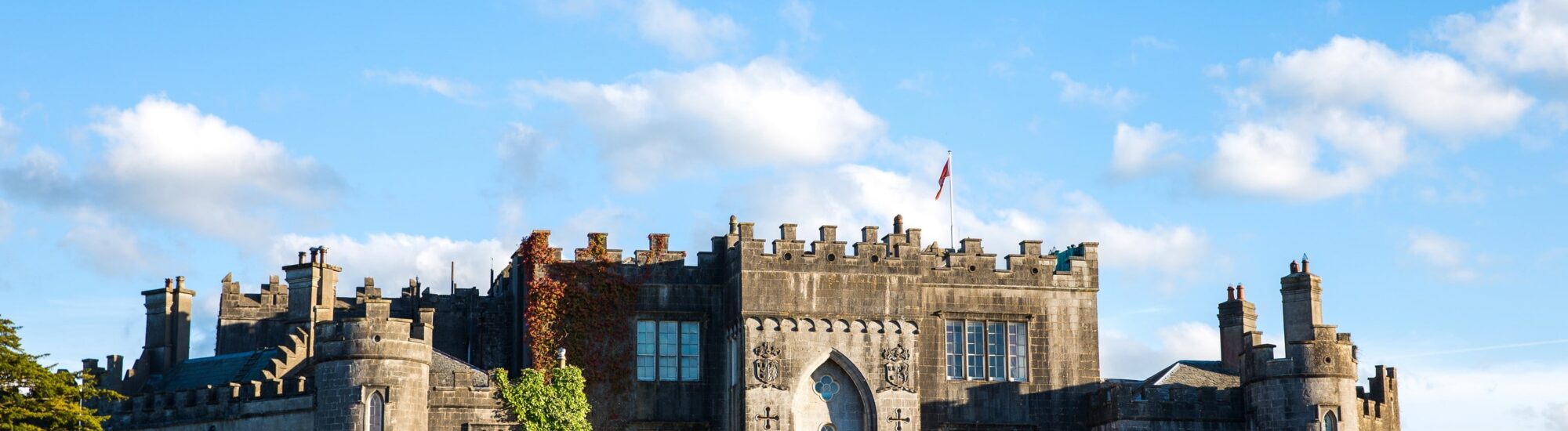 Le Birr castle - © aleksred 