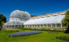 Le Botanic Belfast Gardens - © Stephen