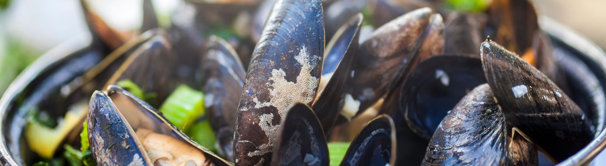 Des moules irlandaises - © Darren Baker