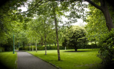 Merrion Square - Neil Turner - cc