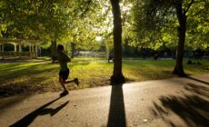 Stephen's Green - Michael Foley - cc