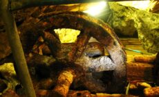 Les Glengowla mines -Linden O Dhuthaich MhicAoidh - cc