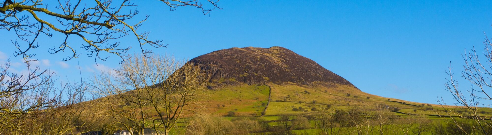 Ballymena