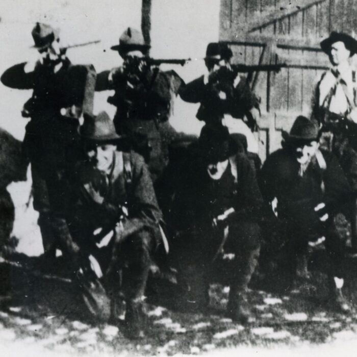 Des irish volunteers - Domaine public
