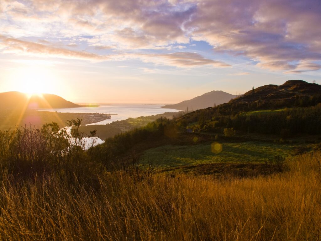 Vue sur le Ring of Gullion - cranneyanthony - cc
