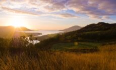 Vue sur le Ring of Gullion - cranneyanthony - cc