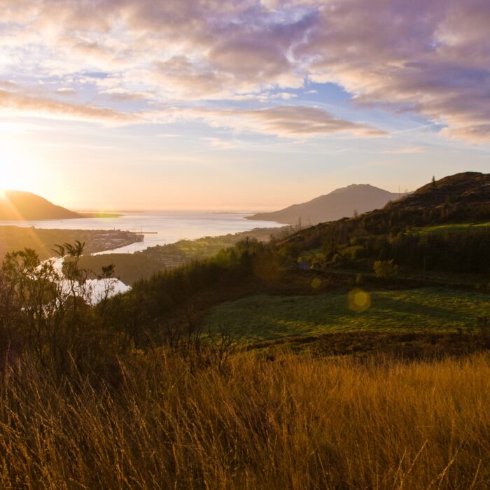 Vue sur le Ring of Gullion - cranneyanthony - cc