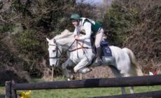 Un hunter irlandais - Nick & Anne photo - cc