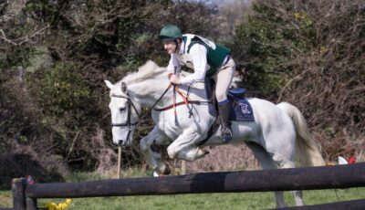 Un hunter irlandais - Nick & Anne photo - cc