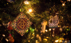 Un sapin de Noêl en Irlande - MjZ Photography - cc