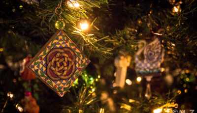 Un sapin de Noêl en Irlande - MjZ Photography - cc