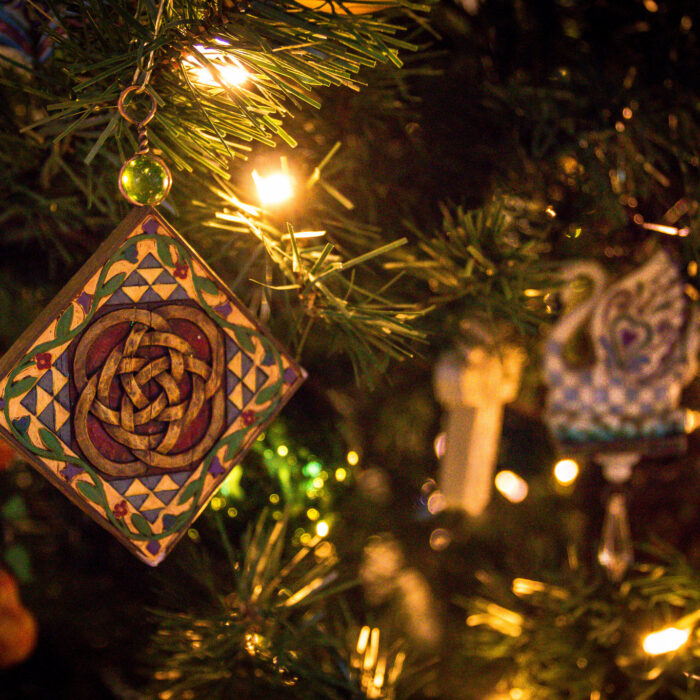 Un sapin de Noêl en Irlande - MjZ Photography - cc
