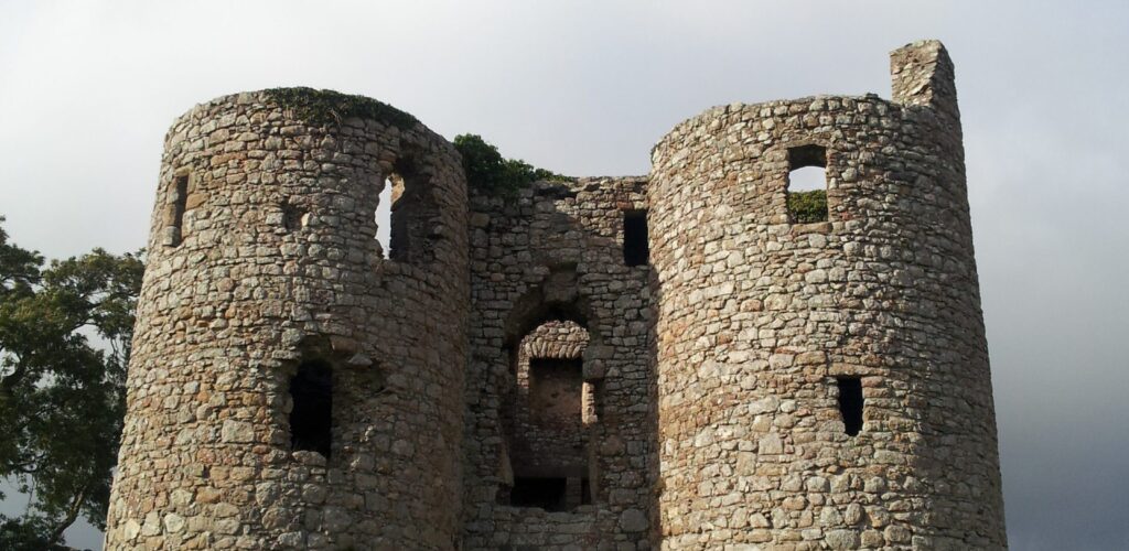 ballyloughan castle scaled