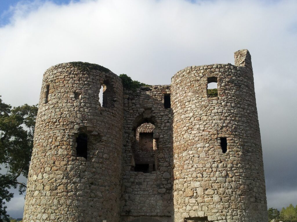 Le Ballyloughan Castle - VisionsofthePast - cc
