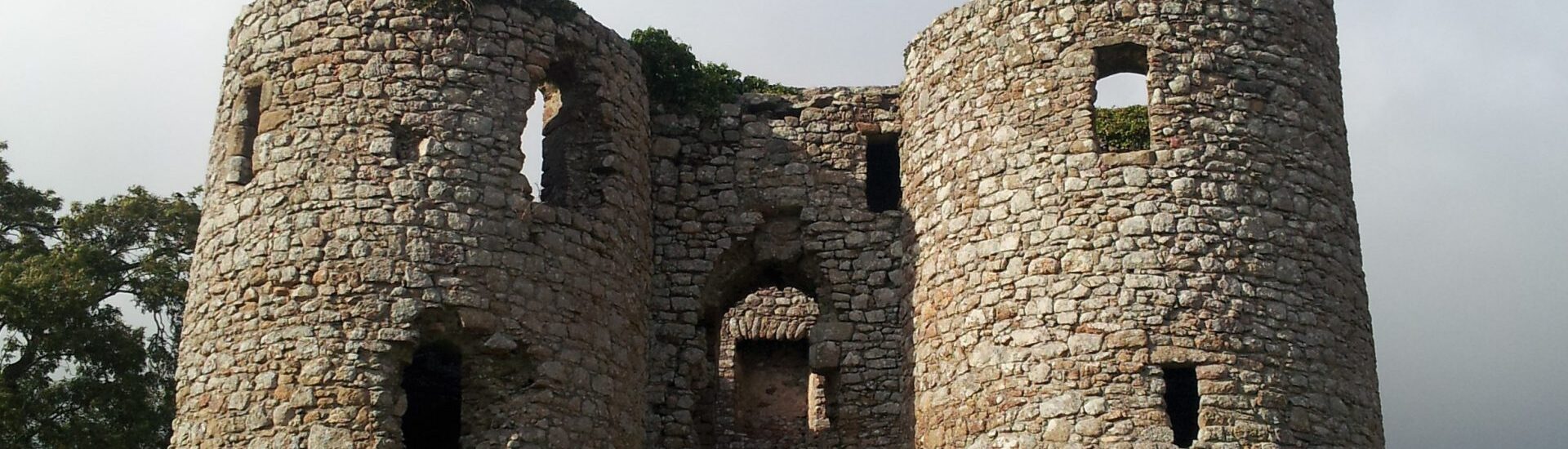 Le Ballyloughan Castle