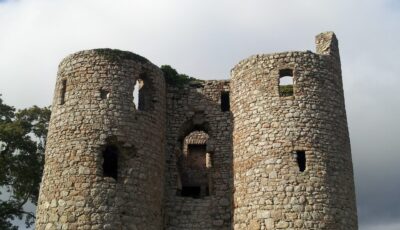 Le Ballyloughan Castle - VisionsofthePast - cc