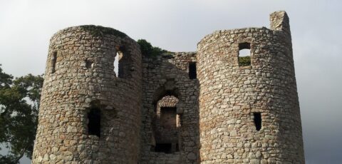 ballyloughan castle scaled
