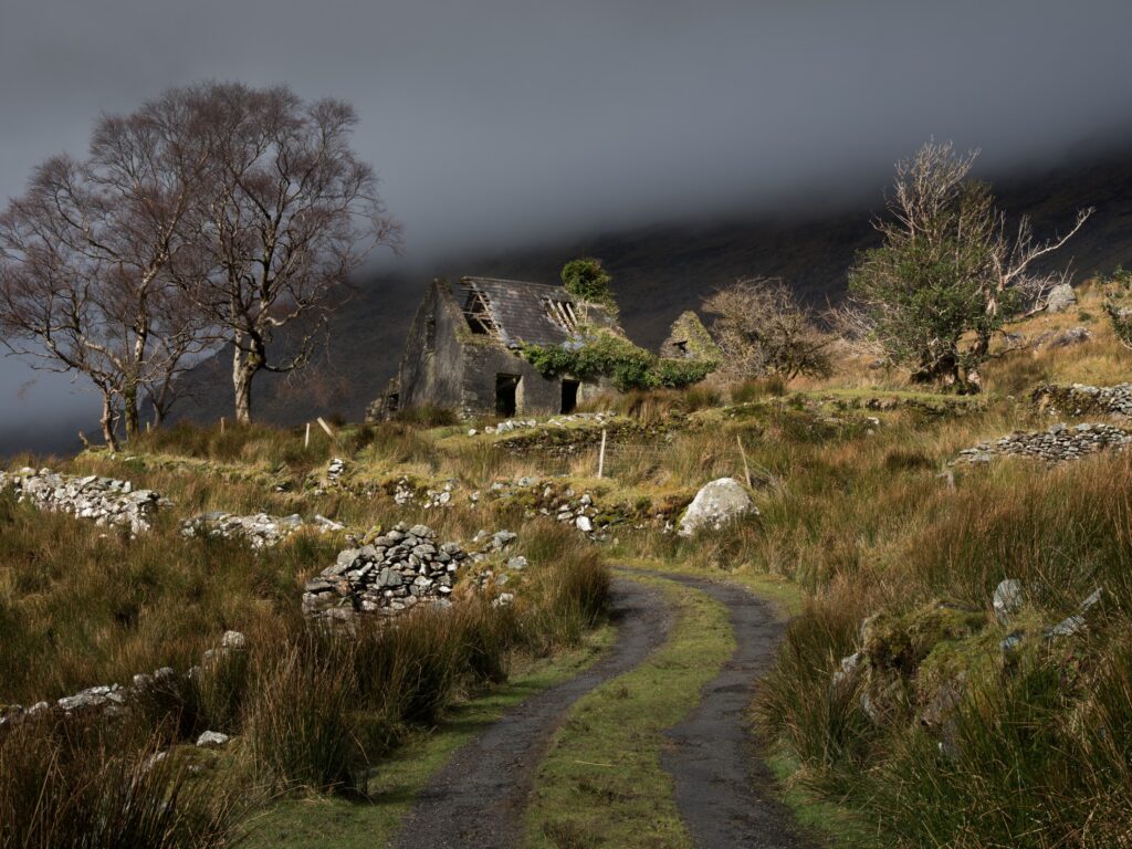 La Black Valley - © dajh51