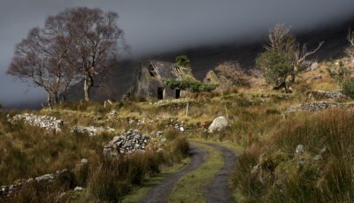La Black Valley - © dajh51