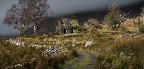 black valley
