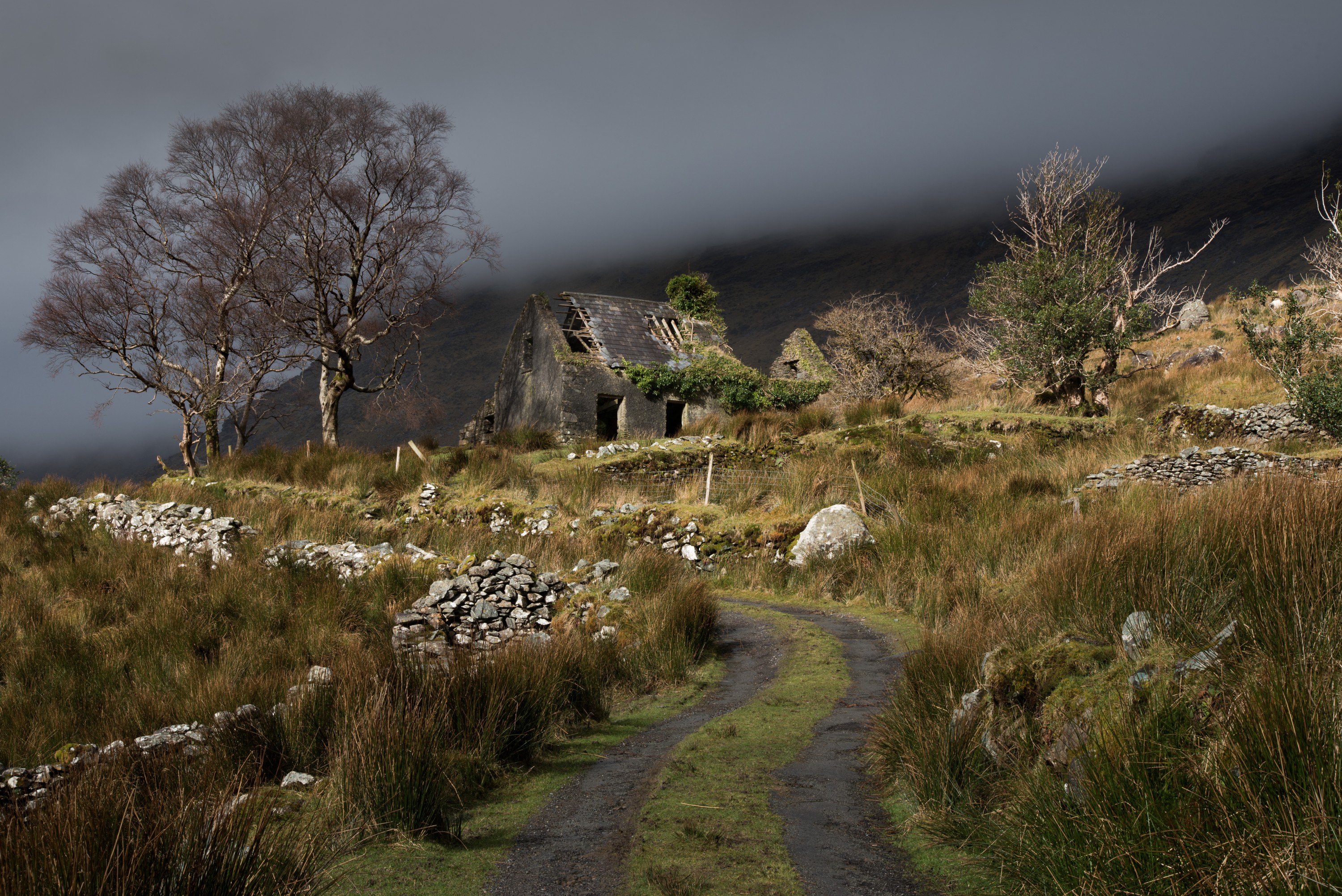 La Black Valley - © dajh51