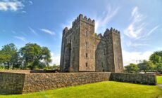 Le Bunratty castle - © robnaw