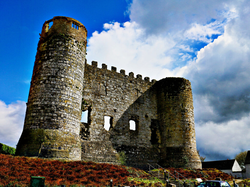 Le Carlow Castle - Feckr - cc