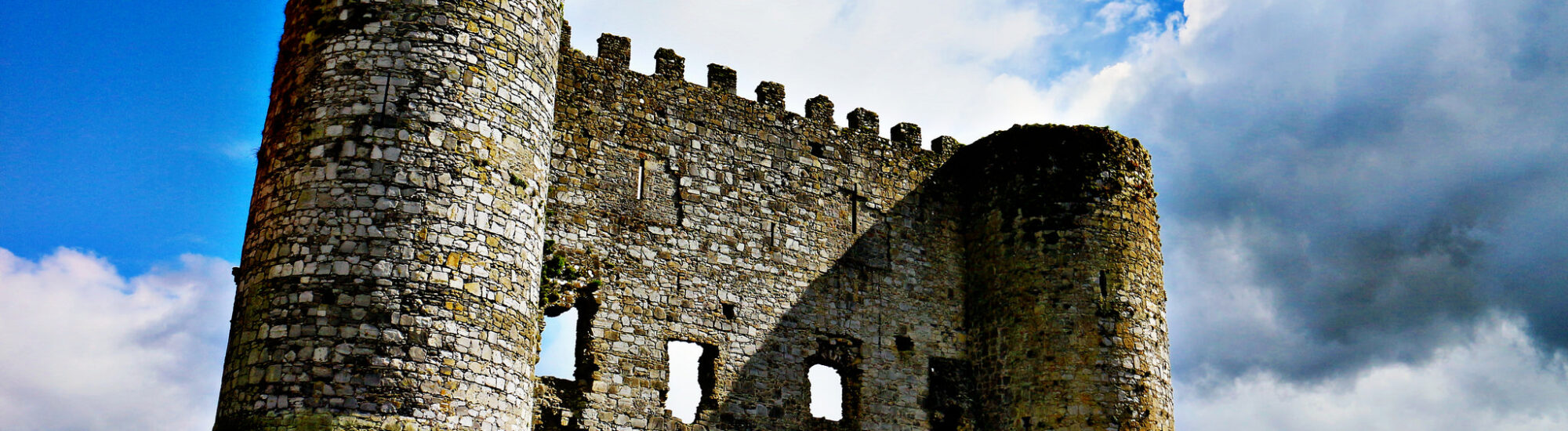 Le Carlow Castle -  Feckr - cc