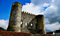 Le Carlow Castle - Feckr - cc