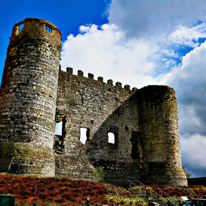 Le Carlow Castle - Feckr - cc