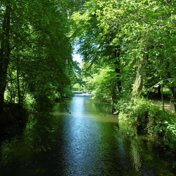 Le Doneraile Wildlife Park