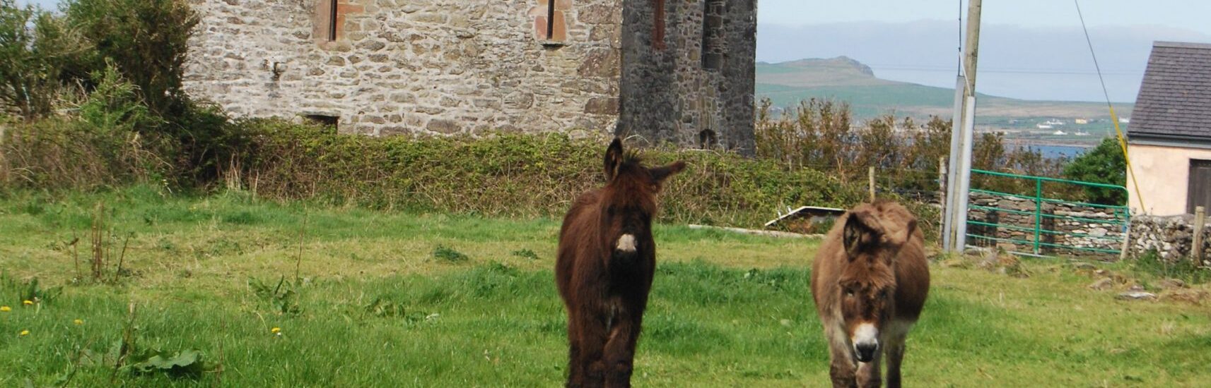Le Gallarus Castle - <a href='https://www.flickr.com/photos/jemartin03/14154367519/' target='_blank'>jemartin03</a> - <a href=
