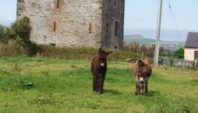 Le Gallarus Castle - jemartin03 - cc