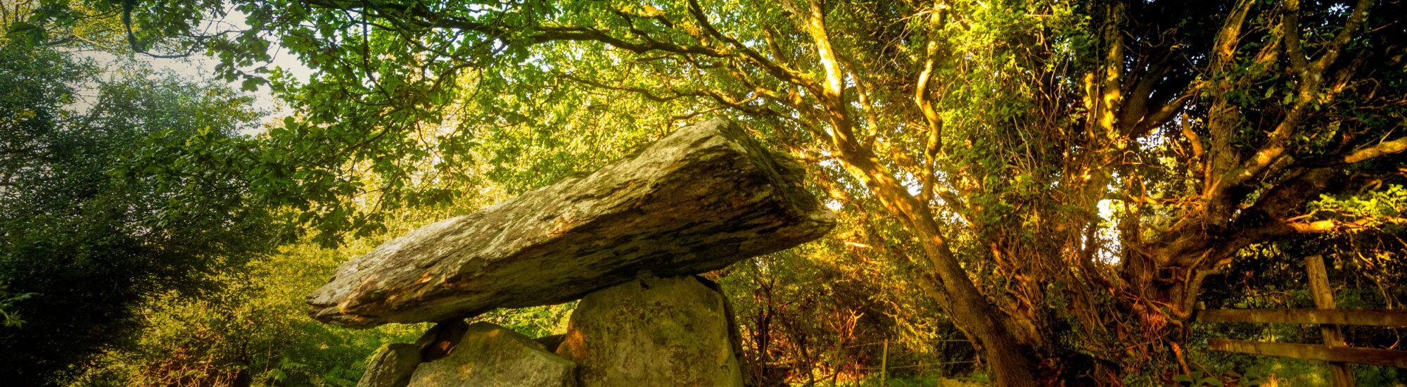 Le dolmen de Gaulstown - © Yggdrasill