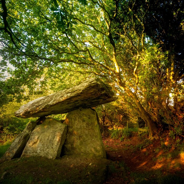 Le dolmen de Gaulstown - © Yggdrasill