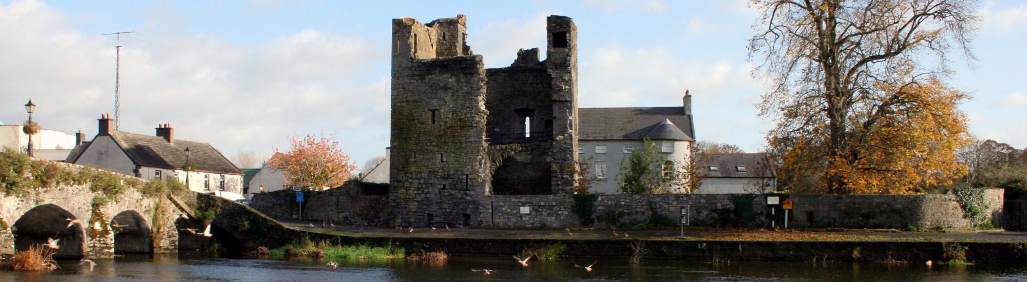 Le Leighlinbridge Castle - Domaine public