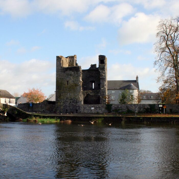 Le Leighlinbridge Castle - Domaine public