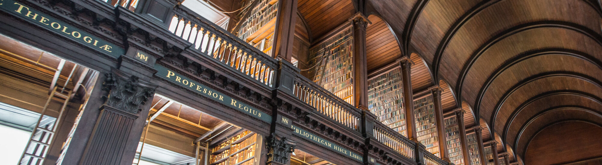 Bibliothèques irlandaises