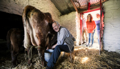 Les Muckross Farms - ©Trustees of Muckross House