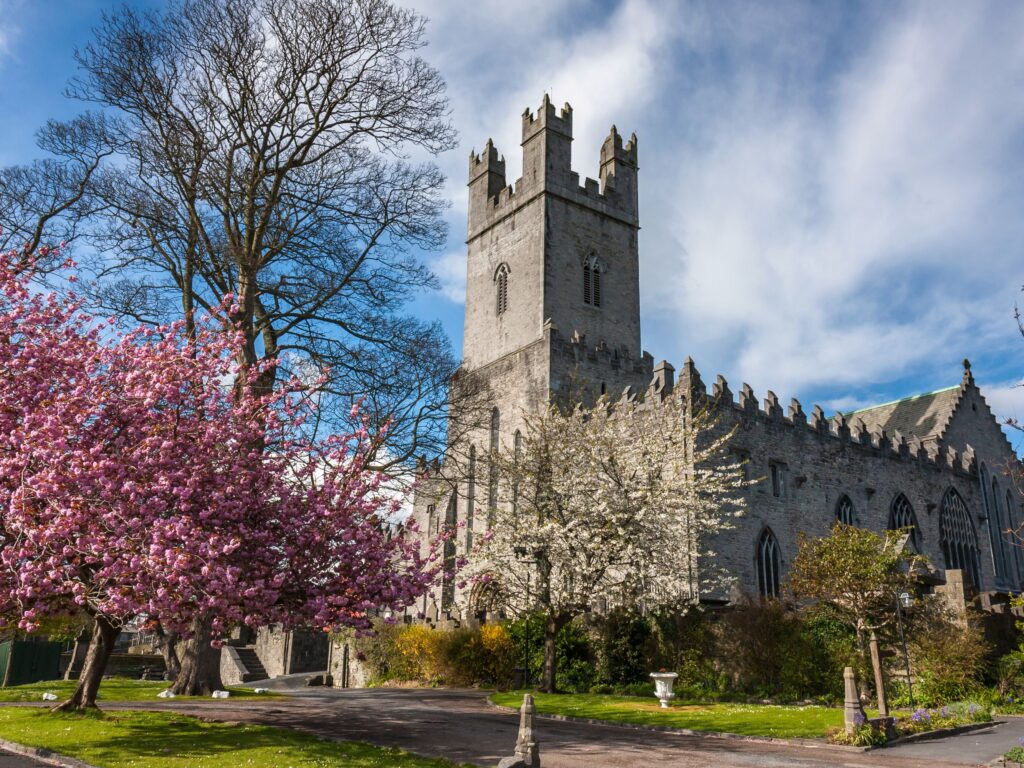 La St Mary’s Cathedral de Limerick - © peteleclerc