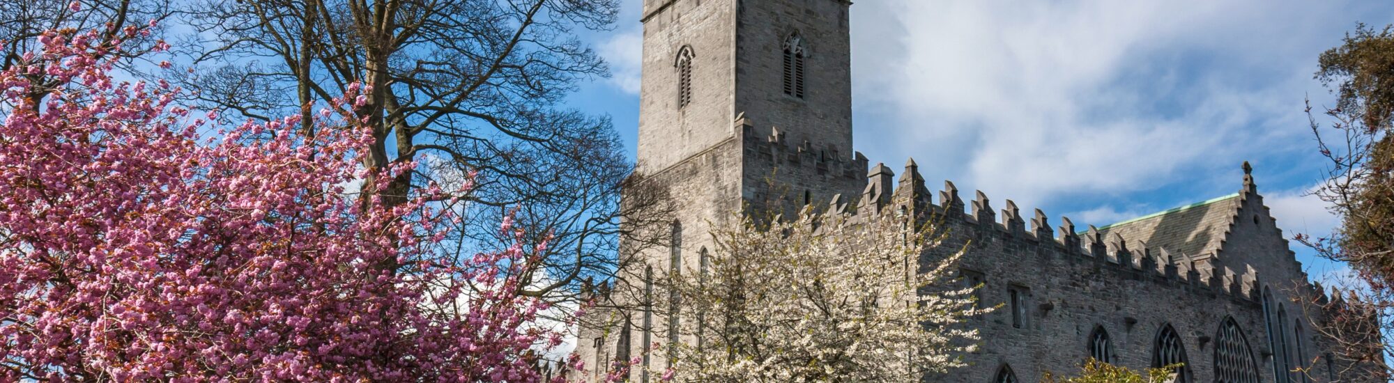 La St Mary’s Cathedral de Limerick - © peteleclerc