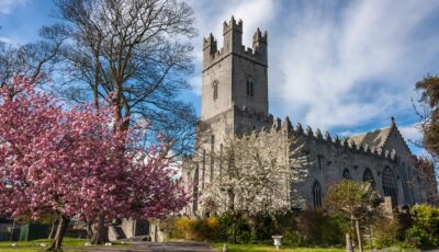 La St Mary’s Cathedral de Limerick - © peteleclerc