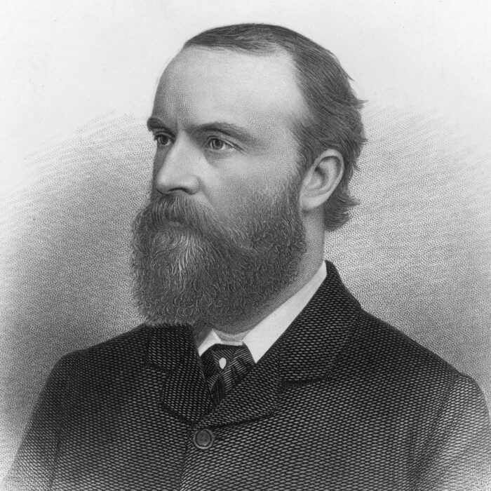 Charles Stewart Parnell - Domaine public