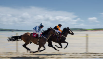 Une course hippique - cosmo_71 - cc