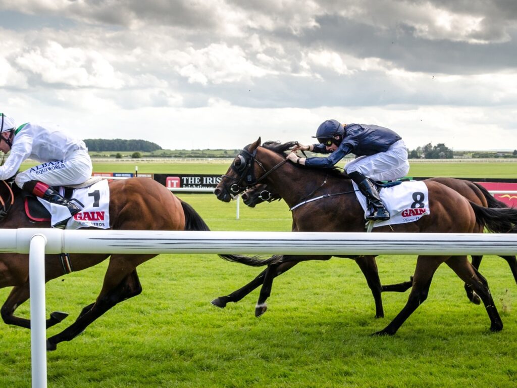 Une course hippique en Irlande - Florian Christoph - cc