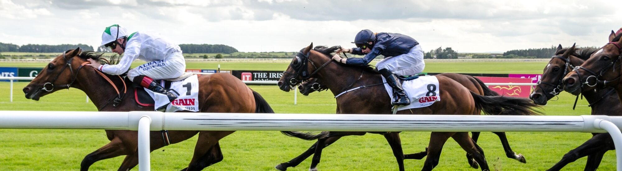 Une course hippique en Irlande -  Florian Christoph - cc